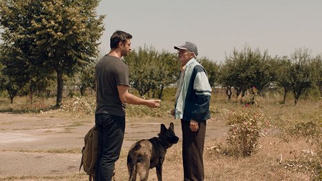 Dragoș Bucur - Dogs - Kuvat elokuvasta