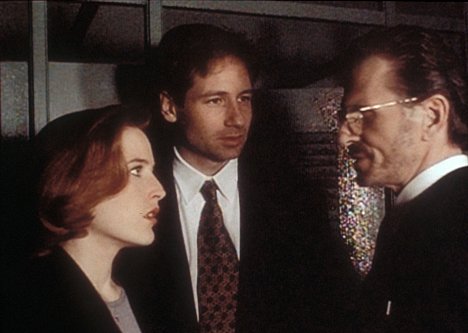 Gillian Anderson, David Duchovny, Ron Sauvé - The X-Files - Teso dos Bichos - Photos