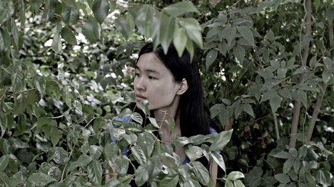 Zhang Xiaobin - El futuro perfecto - Van film