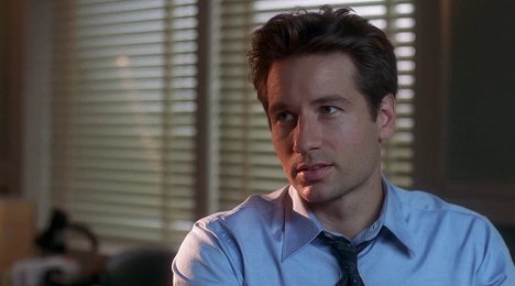 David Duchovny - The X-Files - Squeeze - Van film