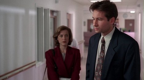 Gillian Anderson, David Duchovny - The X-Files - Conduit - Photos
