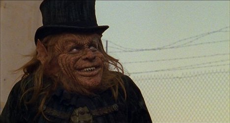 Warwick Davis