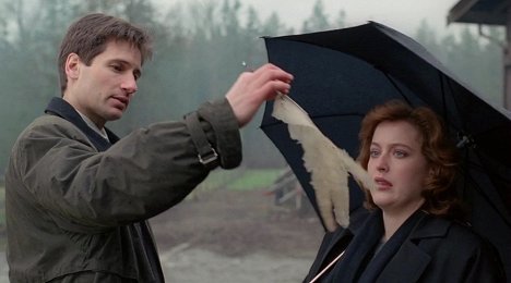 David Duchovny, Gillian Anderson - The X-Files - Salaiset kansiot - Shapes - Kuvat elokuvasta
