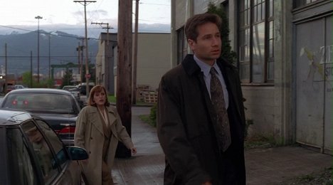 Gillian Anderson, David Duchovny - The X-Files - The Erlenmeyer Flask - Photos