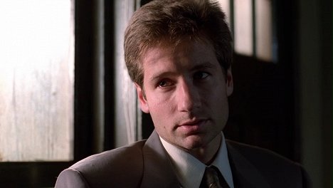David Duchovny - The X-Files - One Breath - Photos