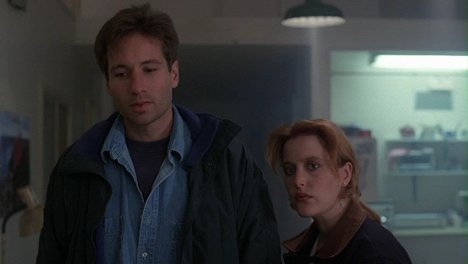 David Duchovny, Gillian Anderson - The X-Files - Intra-terrestres - Film