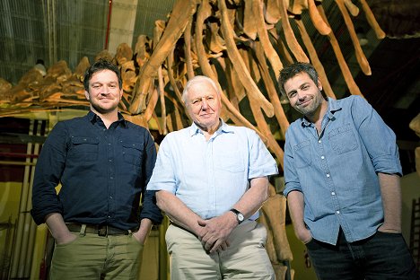 David Attenborough - Nature: Raising the Dinosaur Giant - Z filmu