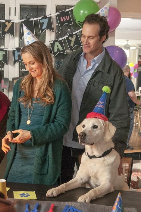 Alicia Silverstone, Randall Batinkoff - Who Gets the Dog? - Film