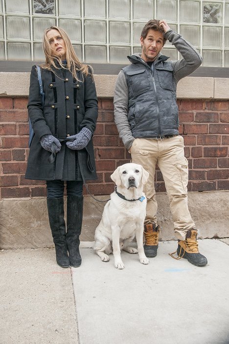Alicia Silverstone, Ryan Kwanten - Who Gets the Dog? - Photos