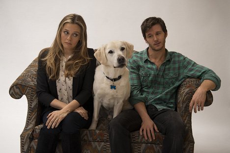 Alicia Silverstone, Ryan Kwanten - Wer kriegt den Hund? - Werbefoto