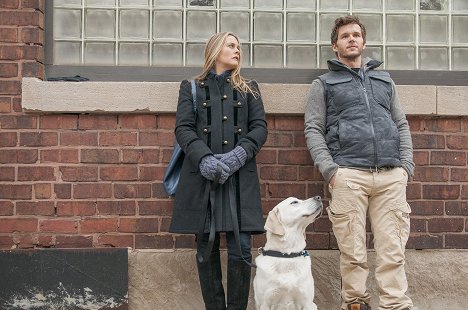 Alicia Silverstone, Ryan Kwanten - Who Gets the Dog? - Photos