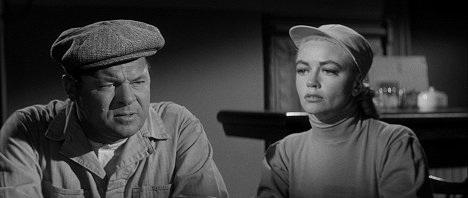 Jack Carson, Dorothy Malone - The Tarnished Angels - Photos