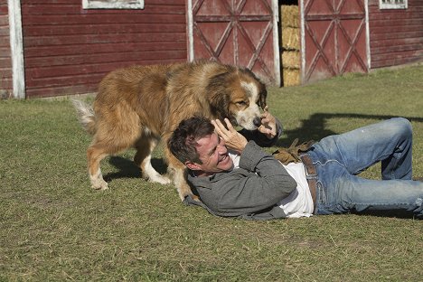 Dennis Quaid - A Dog's Purpose - Photos