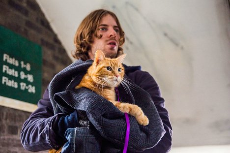 Luke Treadaway, Bob el gato - A Street Cat Named Bob - De la película