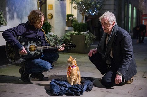 Luke Treadaway, Bob the Cat, Roger Spottiswoode - A Street Cat Named Bob - Making of