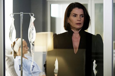Julia Ormond - Incorporated - Cost Containment - Photos