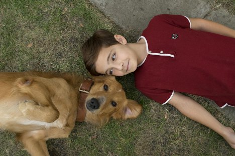 Bryce Gheisar - Egy kutya négy élete - Filmfotók