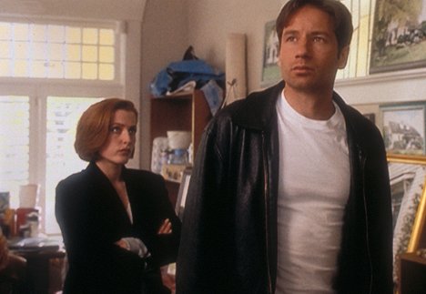 Gillian Anderson, David Duchovny - The X-Files - Crime de mémoire - Film