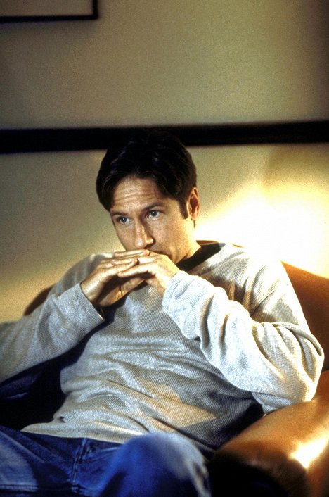 David Duchovny - The X-Files - Redux - Van film