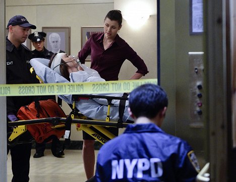 Bridget Moynahan - Blue Bloods - Crime Scene New York - Occupational Hazards - Photos