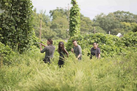 Andrew Lincoln, Danai Gurira, Ross Marquand, Alanna Masterson - The Walking Dead - Rock in the Road - Photos