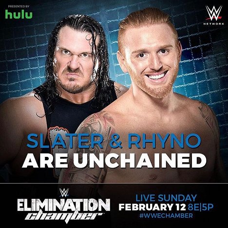 Terry Gerin, Heath Miller - WWE Elimination Chamber - Werbefoto