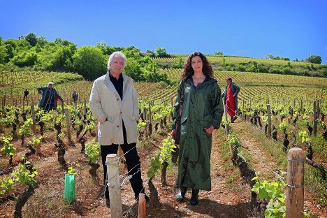 Pierre Arditi - Le Sang de la vigne - Promokuvat