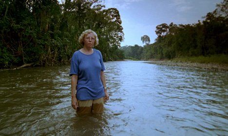Juliane Koepcke - Julianes Sturz in den Dschungel - De la película