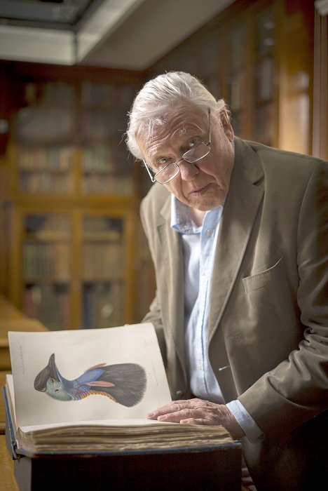 David Attenborough - Svět přírody - David Attenborough: Velcí ptáci - Z filmu