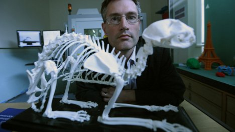Richard Johnston - Animal Mummies - Photos