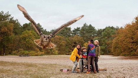 Hiba Ghafry, Matheu Hinzen, Jashayra Oehlers, Felix van de Weerdt - Owls & Mice - Photos