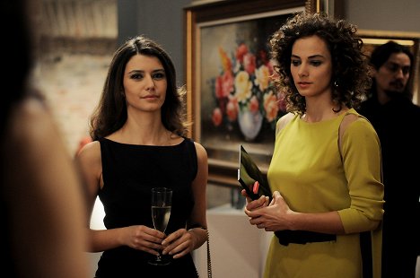 Beren Saat, Dilşad Çelebi - İntikam - Season 1 - Kuvat elokuvasta