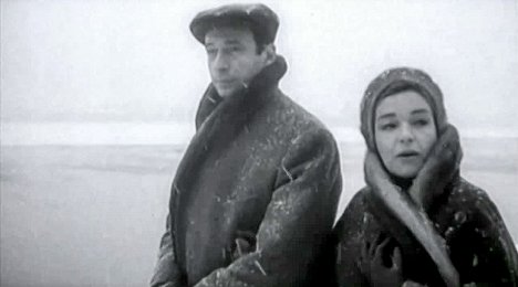 Yves Montand, Simone Signoret - Yves Montand, l'ombre au tableau - Z filmu