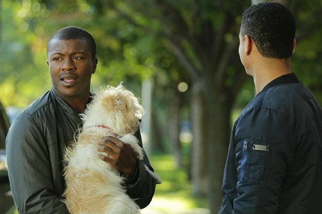 Edwin Hodge - Chicago Fire - Madmen and Fools - Van film