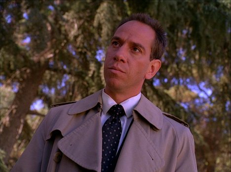 Miguel Ferrer - Twin Peaks - Arbitrary Law - Photos