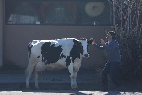 Will Forte - The Last Man on Earth - Mooovin' In - Photos