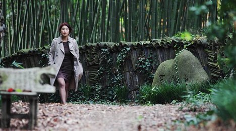 Ji-won Ye - Geunyeoeui bimiljeongwon - Film