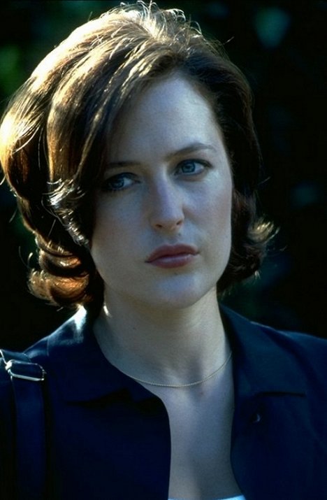 Gillian Anderson - Playing by Heart - Photos