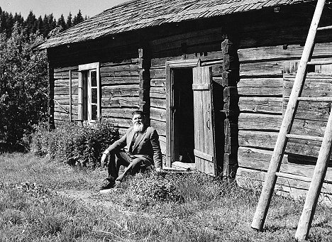 F. E. Sillanpää - Ein Junge lebte seinen Sommer - Werbefoto