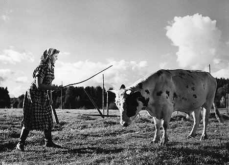 Raili Mäki - The Farmer's Wife - Photos