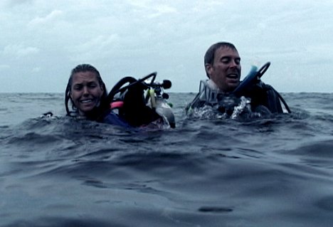 Blanchard Ryan, Daniel Travis - Open Water : En eaux profondes - Film