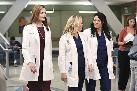 Geena Davis, Jessica Capshaw, Sara Ramirez - Grey's Anatomy - I Must Have Lost It on the Wind - Photos