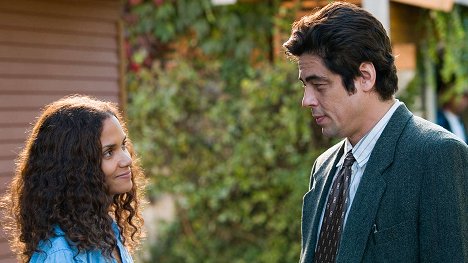 Halle Berry, Benicio Del Toro - Things We Lost in the Fire - Photos