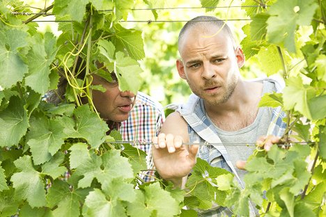 Tomáš Matonoha, Vojtěch Záveský - Vinaři - Terapie - Photos