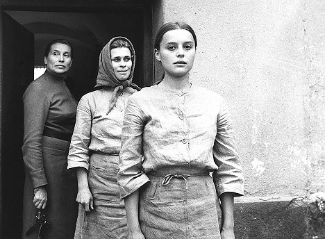 Zora Rozsypalová, Jana Andresíková, Magda Vášáryová - ...and Give My Love to the Swallows - Photos