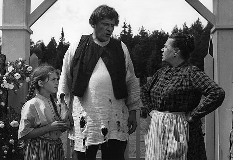 Riitta Pakarinen, Leo Lastumäki, Siiri Angerkoski - Kun tuomi kukkii - De la película