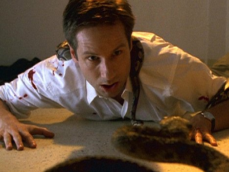 David Duchovny - The X-Files - Signs & Wonders - Photos