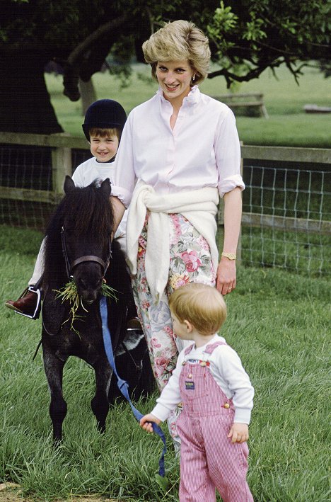 Guillermo de Gales, Diana, princesa de Gales, Enrique de Sussex - Diana, Our Mother: Her Life and Legacy - De la película