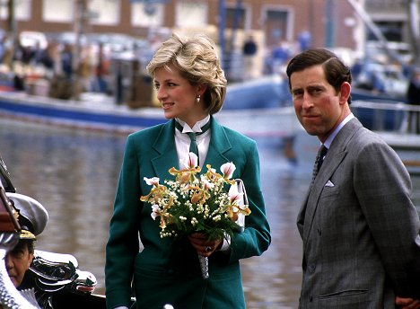 princezna Diana, Karel III.