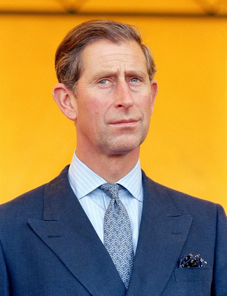 Carlos III del Reino Unido - Diana: 7 Days That Shook the Windsors - De la película